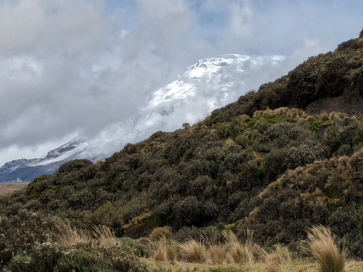 Antisana National Park | ©Angela Drake Snow covered Antisana peeks out from behind a hill covered in native vegetation, perfect for wildlife viewing.