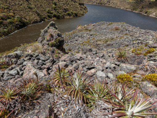 Ancient lava flow meets the Laguna de Secas | ©Humberto Castillo Ancient lava flow meets the Laguna de Secas | ©Humberto Castillo