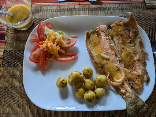 Fresh trout with sides Freshly grilled trout, baby potatoes, and tomato salad served with Ecuadorian hot sauce