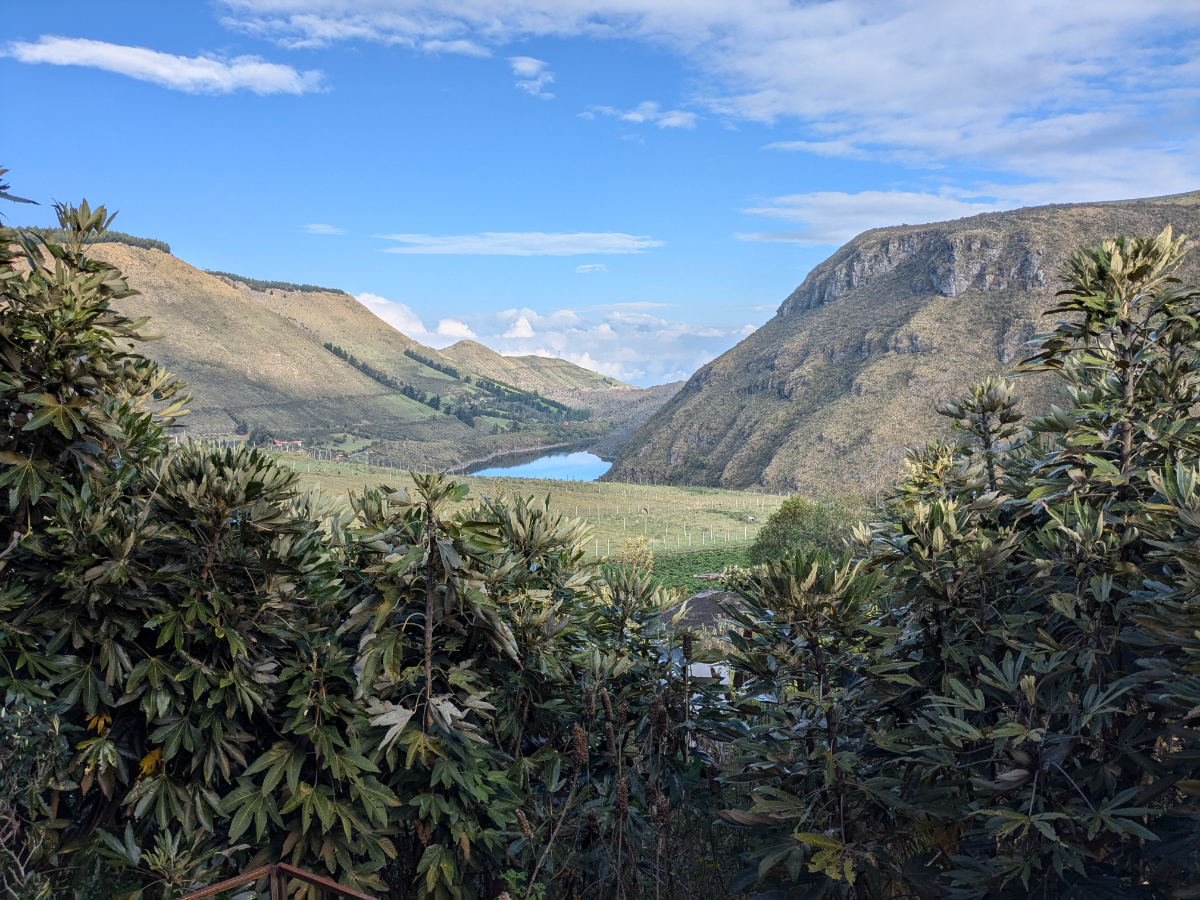 Looking Over the Tops of Mature Pumamaqui Trees at Tambo Condor | ©Angela Drake View towards Quito from the patio of Tambo Condor looks over mature Pumamaqui trees towards Laguna de Secas in the distance